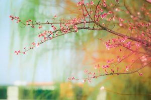 复星联合超越保2020百万医疗保险要多少钱？值得购买吗？-保点通