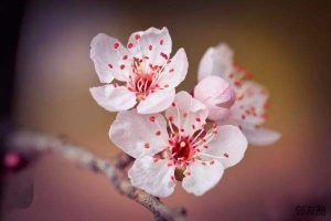 目前2022年最好的百万医疗保险是什么？怎么买？-保点通