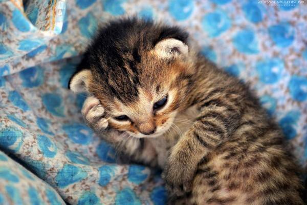 人保百万医疗保险一年要交多少保费？哪种产品好？-保点通