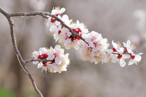 600万医疗保险一年交多少钱？怎么买比较好？-保点通