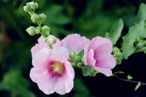 买一份百万医疗保险要花多少钱一年？哪个产品性价比最高？-保点通