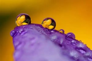 百万医疗险每年都要买吗？续保难不难？-保点通