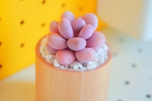 泰康健康尊享2021医疗保险有哪些优缺点？值不值得买？-保点通