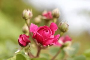 百万医疗险投保条件有哪些？应该怎么买？-保点通