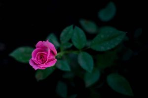 百万医疗保险多少钱？怎么买？-保点通