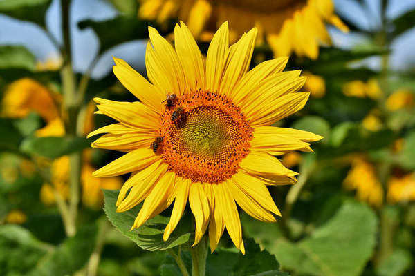 百万医疗保险多少钱？怎么样？-保点通