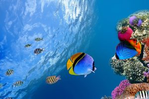 百万医疗险可以保到多少岁？怎么买比较好？-保点通