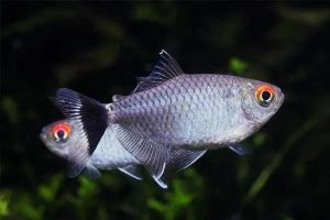 百万医疗险会逐年涨价吗？多少钱一年？​-保点通