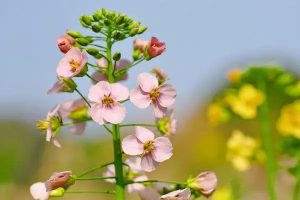 百万医疗险哪款产品最值得买？要花多少钱一年？-保点通