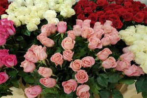 53岁买百万医疗保险多少钱？值得买吗？-保点通