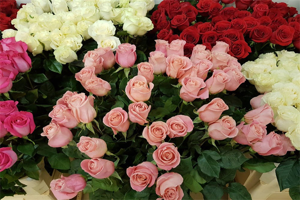 53岁买百万医疗保险多少钱？值得买吗？-保点通