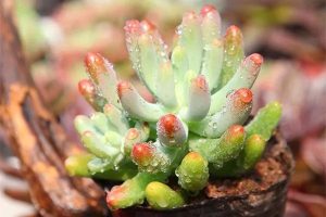 65岁的老年医疗险有哪些？买什么产品好？-保点通