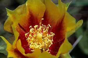 百万医疗险买长期好还是短期好？买哪款产品比较好？-保点通