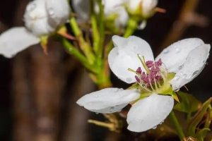 百万医疗险有哪些产品60岁以上老人可以投保的？要怎么买？-保点通