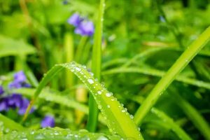 百万医疗险可以买几年的？哪些产品比较好？-保点通