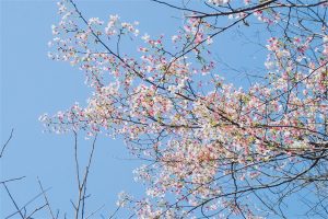 50岁以上百万医疗保险哪个好？如何选择最合适的？-保点通