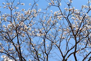 40岁女性买什么医疗保险？值得买医疗保险吗？-保点通