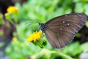 百万医疗险哪个产品比较靠谱？应该怎么买？-保点通