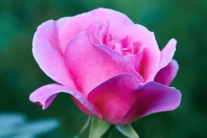 医疗保险买什么产品好？怎么买？-保点通