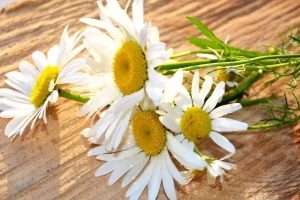 平安医疗险的产品都有哪些？哪款产品比较好？-保点通