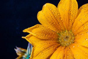 补充医疗险作用是啥？有必要买么？-保点通