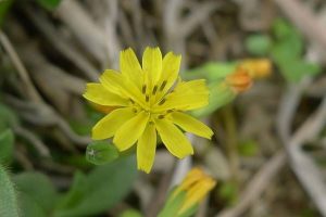 百万医疗险赔付比例是多少？要怎么买？-保点通