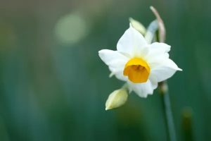 百年人寿高枕无忧百万医疗险多少钱一年？值不值得买？-保点通