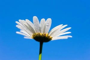 百万医疗险得病后还能保吗？应该怎么挑选合适的产品？-保点通