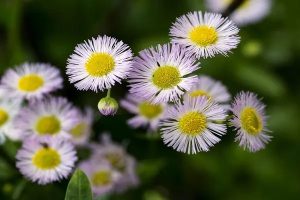 买了百万医疗保险还有必要买意外险吗？两者能不能一起理赔？​-保点通