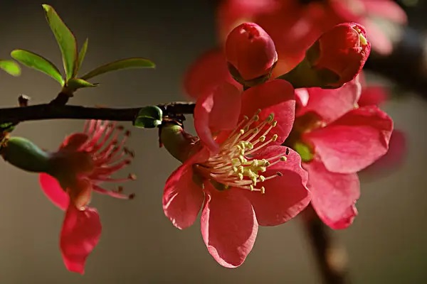 老年人可以买的百万医疗险产品有哪些?哪款性价比高?-保点通