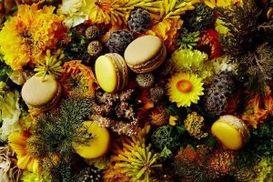 百万医疗险是健康险吗？有没有必要买？-保点通