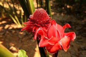 富德生命人寿百万医疗险怎么样？哪款性价比高？-保点通