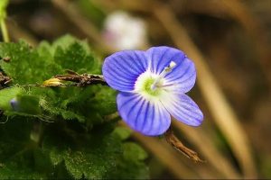 百万医疗险可以异地投保吗？投保方式有哪些？-保点通