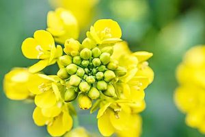 泰爱护少儿百万医疗险有哪些优缺点？值不值得买？-保点通