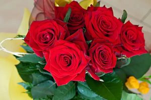 百万医疗险一般的小疾病可以报销吗？能报销多少钱？-保点通