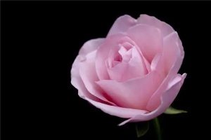 水滴保百万医疗险产品每个月交多少钱？值不值得买？-保点通