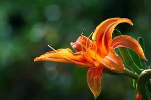 医疗保险五十岁适合买吗？怎么买比较好？-保点通