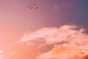 泰康在线百万医疗险怎么样？多少钱一年？-保点通