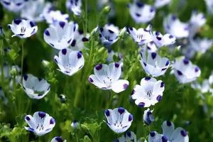 百万医疗险有长期的吗？长期百万医疗险好不好？​-保点通