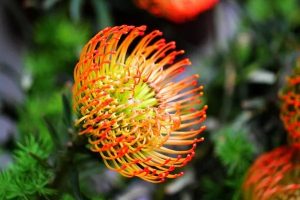 百万医疗险是哪一年出现的？有必要买吗？-保点通