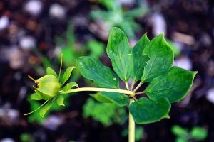 80岁还能买百万医疗险吗?买不了怎么办?-保点通