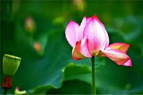 百万医疗险几岁买比较合适?买什么产品好?-保点通