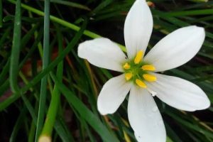 百万医疗险坑人吗？值不值得购买？-保点通