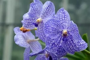 百万医疗险有保终身的吗？保障内容有哪些？​-保点通