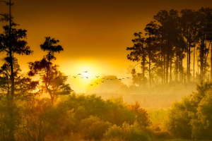 新华保险百万医疗险产品哪款好？多少钱一年？-保点通