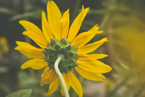 萤火健康保百万医疗险怎么样？多少钱一年？-保点通