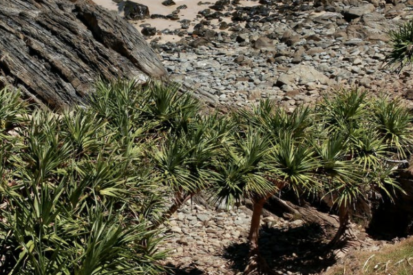 商业医疗保险在哪里买？有年龄限制吗？-保点通