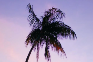 商业保险住院报销比例是多少?报销流程是什么?-保点通