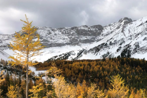 众安百万医疗保险真的假的？有什么用？-保点通