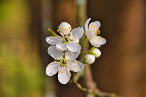 百万医疗保险要花多少钱一年？有必要买吗？-保点通